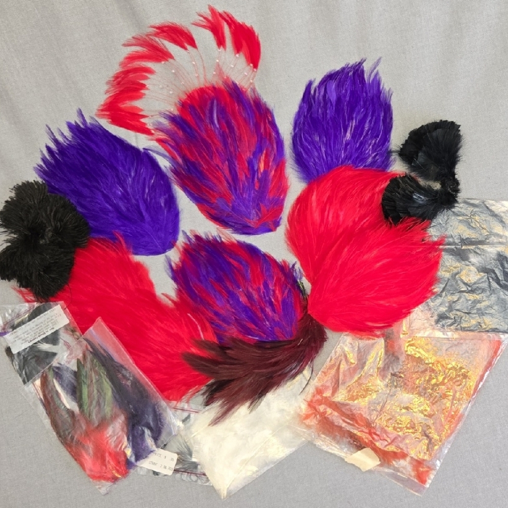Colorful Feather Accessory Set